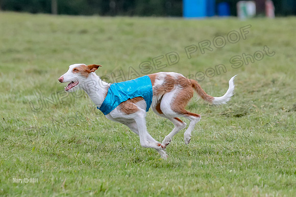 Finals, Specials 1 Madyson Thorn Ionia-7276