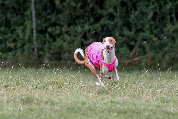 Finals, Specials 2 Fern Beastie Penny-7354