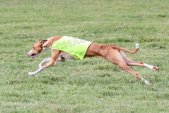 Finals, Specials 3 Libby Ginny Luna-7443