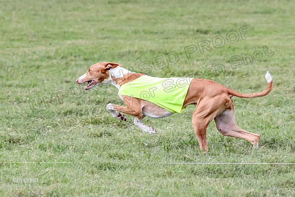 Finals, Specials 3 Libby Ginny Luna-7442
