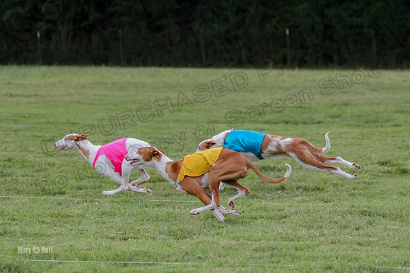 Finals, Specials 1 Madyson Thorn Ionia-7258