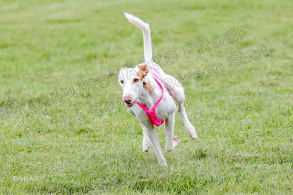 Finals, Specials 1 Madyson Thorn Ionia-7299