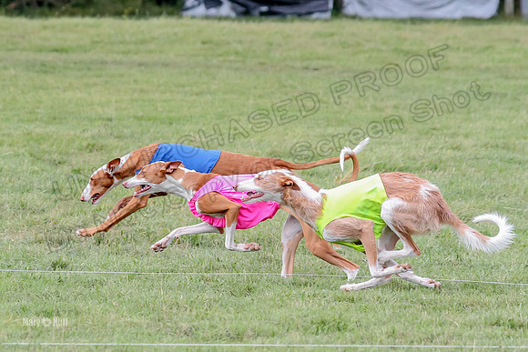 Finals, Specials 2 Fern Beastie Penny-7347