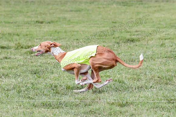 Finals, Specials 3 Libby Ginny Luna-7441