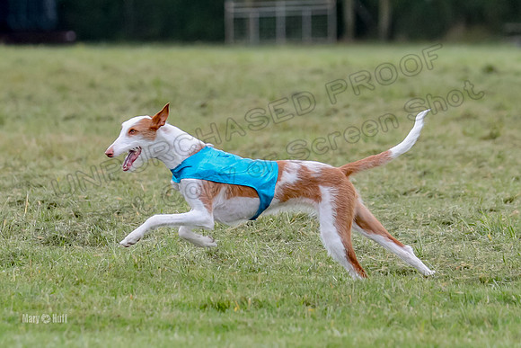 Finals, Specials 1 Madyson Thorn Ionia-7273