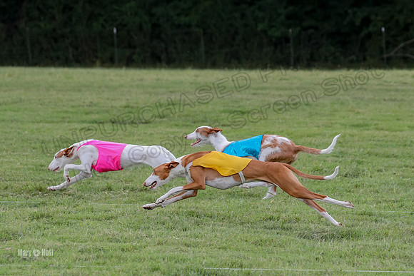 Finals, Specials 1 Madyson Thorn Ionia-7256