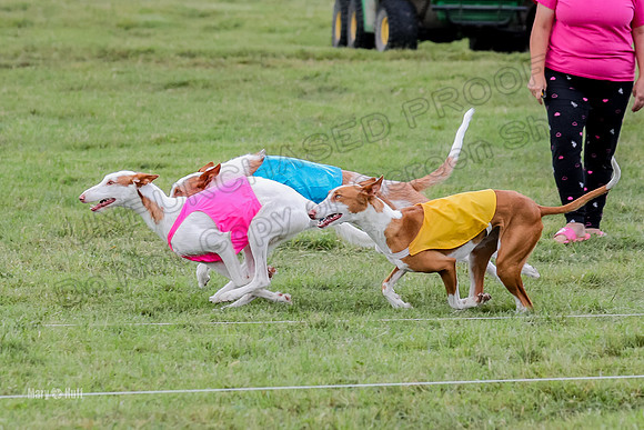 Finals, Specials 1 Madyson Thorn Ionia-7242