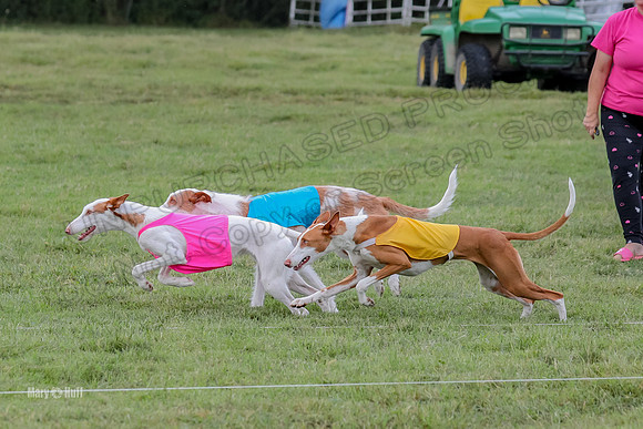 Finals, Specials 1 Madyson Thorn Ionia-7243