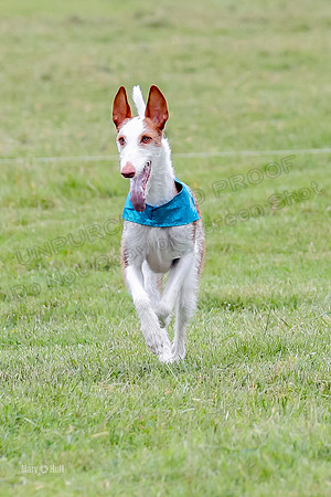 Finals, Specials 1 Madyson Thorn Ionia-7294