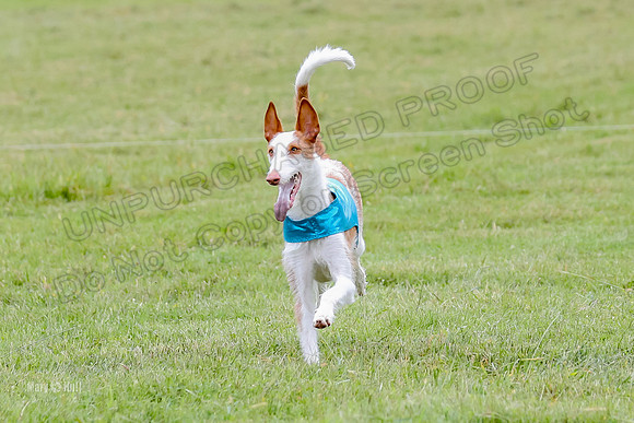 Finals, Specials 1 Madyson Thorn Ionia-7296