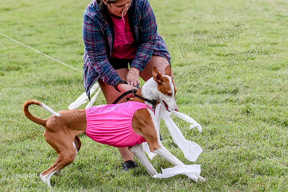 Finals, Specials 2 Fern Beastie Penny-7406