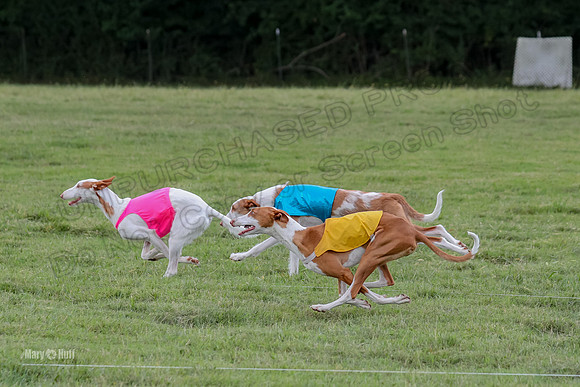 Finals, Specials 1 Madyson Thorn Ionia-7254