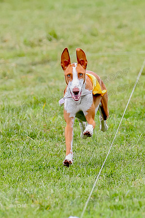 Finals, Specials 1 Madyson Thorn Ionia-7283