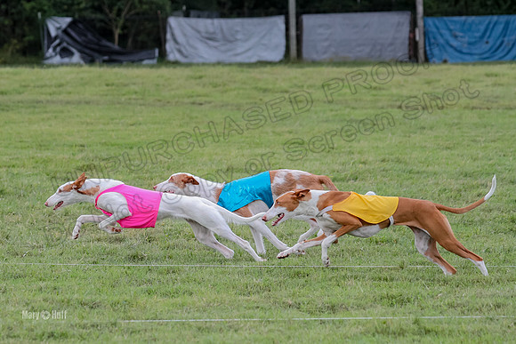 Finals, Specials 1 Madyson Thorn Ionia-7250