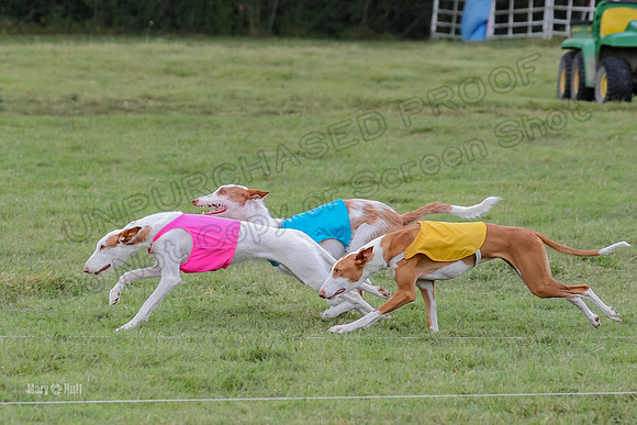 Finals, Specials 1 Madyson Thorn Ionia-7244