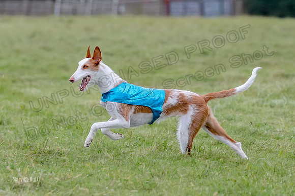 Finals, Specials 1 Madyson Thorn Ionia-7278