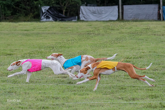 Finals, Specials 1 Madyson Thorn Ionia-7251