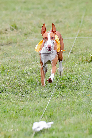 Finals, Specials 1 Madyson Thorn Ionia-7279