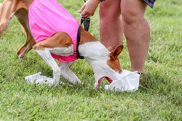 Finals, Specials 2 Fern Beastie Penny-7402