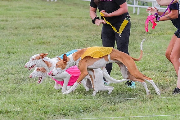 Finals, Specials 1 Madyson Thorn Ionia-7235