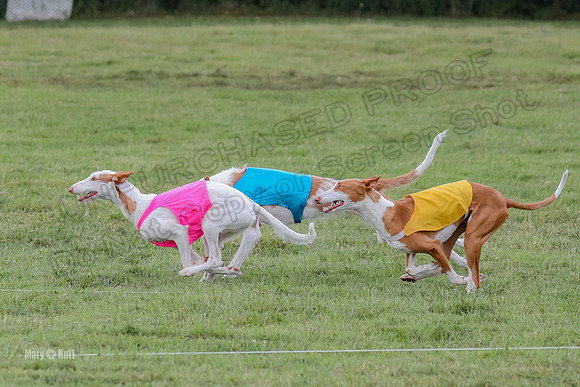 Finals, Specials 1 Madyson Thorn Ionia-7246