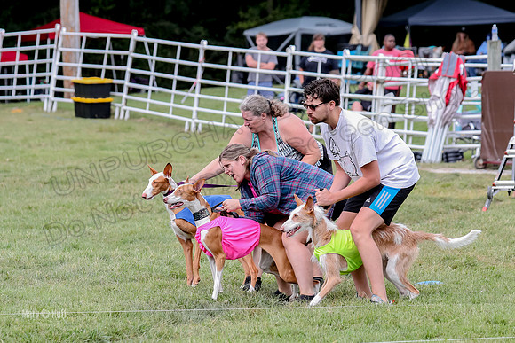 Finals, Specials 2 Fern Beastie Penny-7328