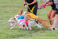 Finals, Specials 1 Madyson Thorn Ionia-7234