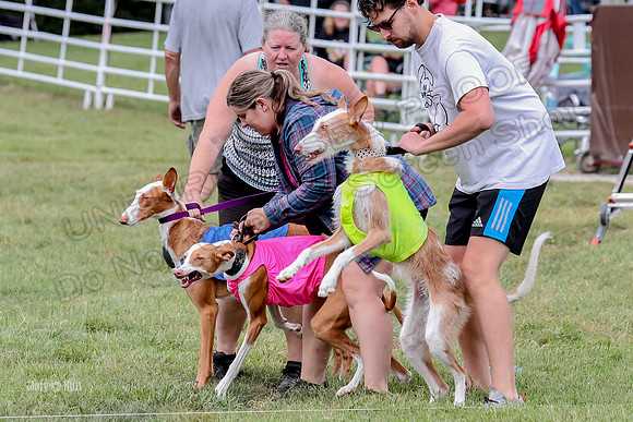 Finals, Specials 2 Fern Beastie Penny-7314