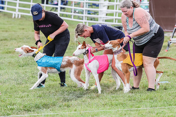 Finals, Specials 1 Madyson Thorn Ionia-7208