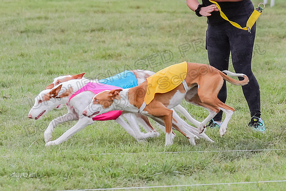 Finals, Specials 1 Madyson Thorn Ionia-7236