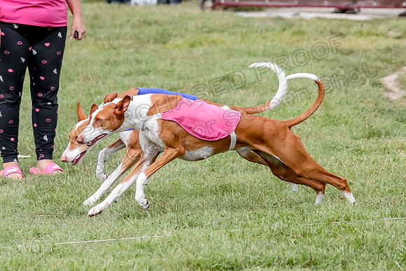 Finals, Specials 3 Libby Ginny Luna-7429