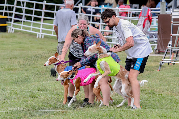 Finals, Specials 2 Fern Beastie Penny-7313
