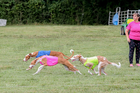Finals, Specials 2 Fern Beastie Penny-7339