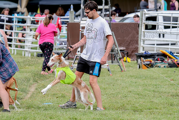 Finals, Specials 2 Fern Beastie Penny-7310