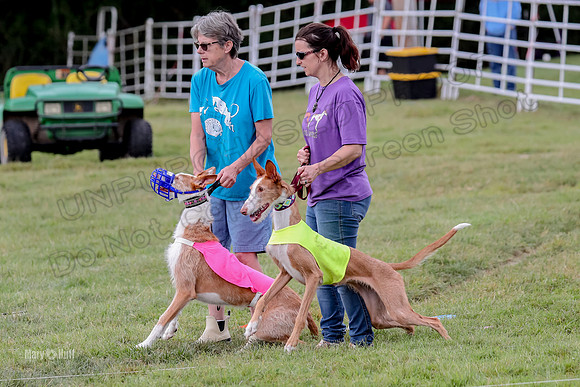 Finals, Veteran 2 Binx Crystal-7137