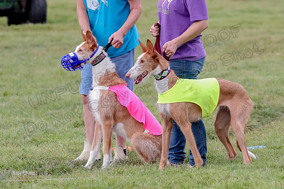Finals, Veteran 2 Binx Crystal-7134