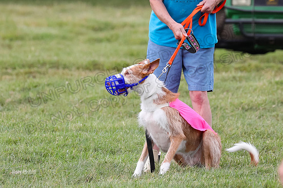 Finals, Veteran 2 Binx Crystal-7127