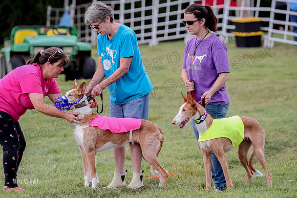 Finals, Veteran 2 Binx Crystal-7131