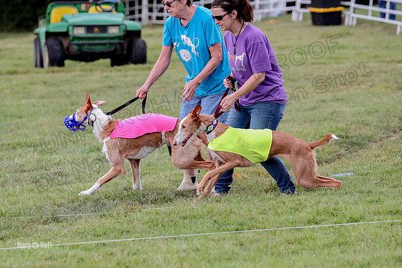 Finals, Veteran 2 Binx Crystal-7143
