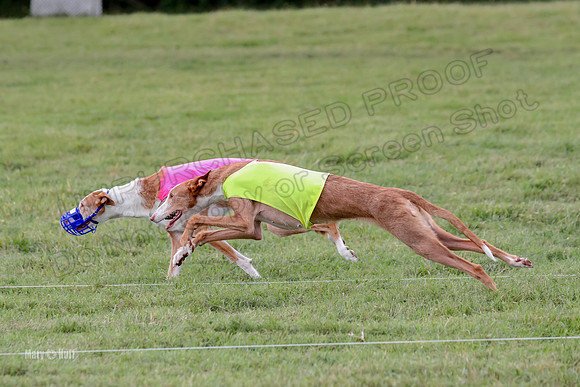 Finals, Veteran 2 Binx Crystal-7155