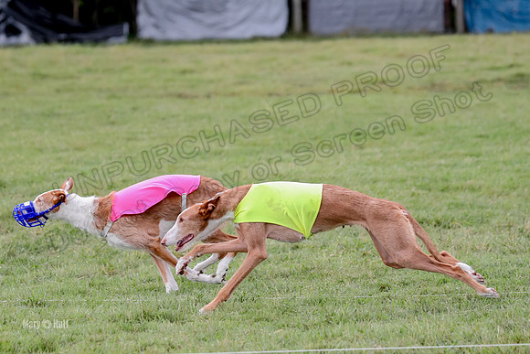 Finals, Veteran 2 Binx Crystal-7151