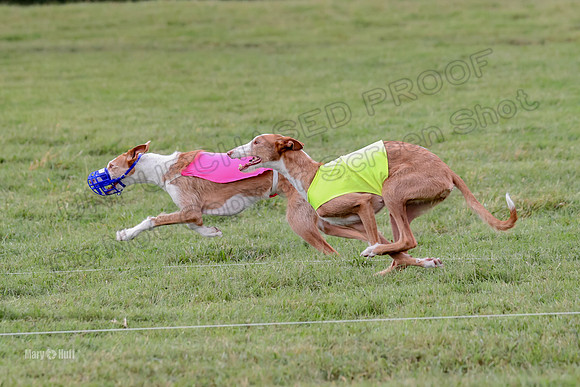 Finals, Veteran 2 Binx Crystal-7153