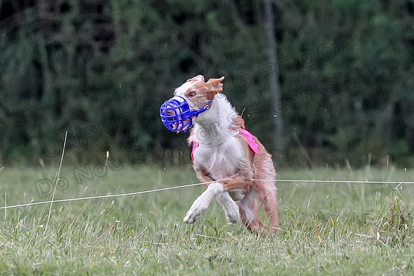 Finals, Veteran 2 Binx Crystal-7163