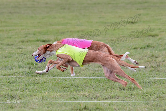 Finals, Veteran 2 Binx Crystal-7159