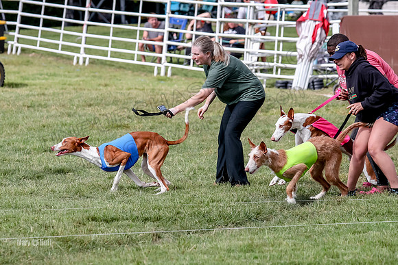Finals, Open A2 Nyx Hugo Junior-7583
