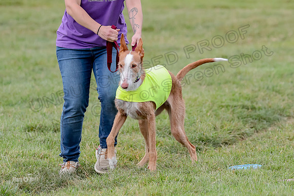 Finals, Veteran 2 Binx Crystal-7128