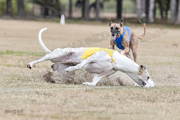 Finals Open 2 Cheese PeteySue Treble-3966
