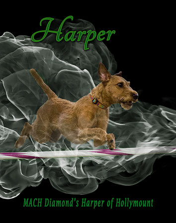 Smoke Jump
