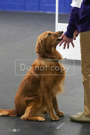 MCH51845