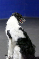 MCH52301